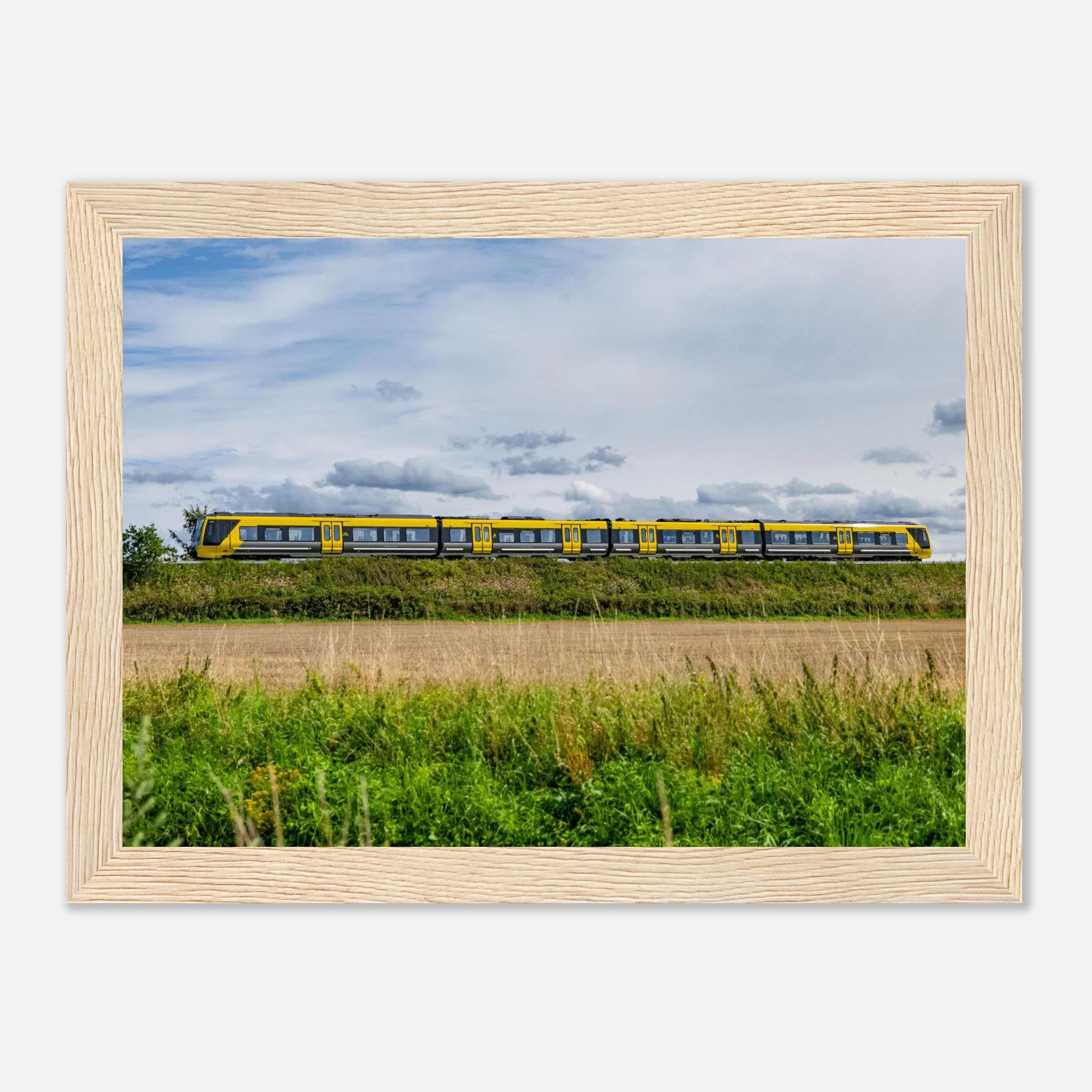 6d641a2c-2977-466a-b62c-6cdbd36960b8