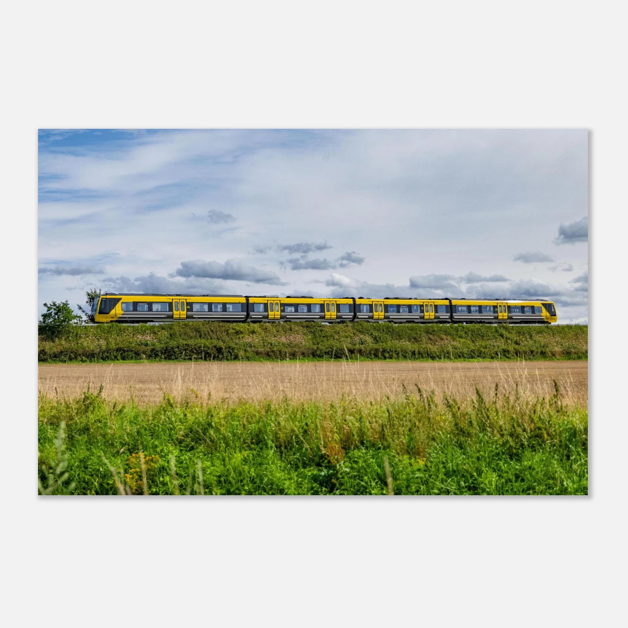 8b1767d3-3f15-407d-993a-96d8861a80b5